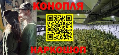 дживик Будённовск