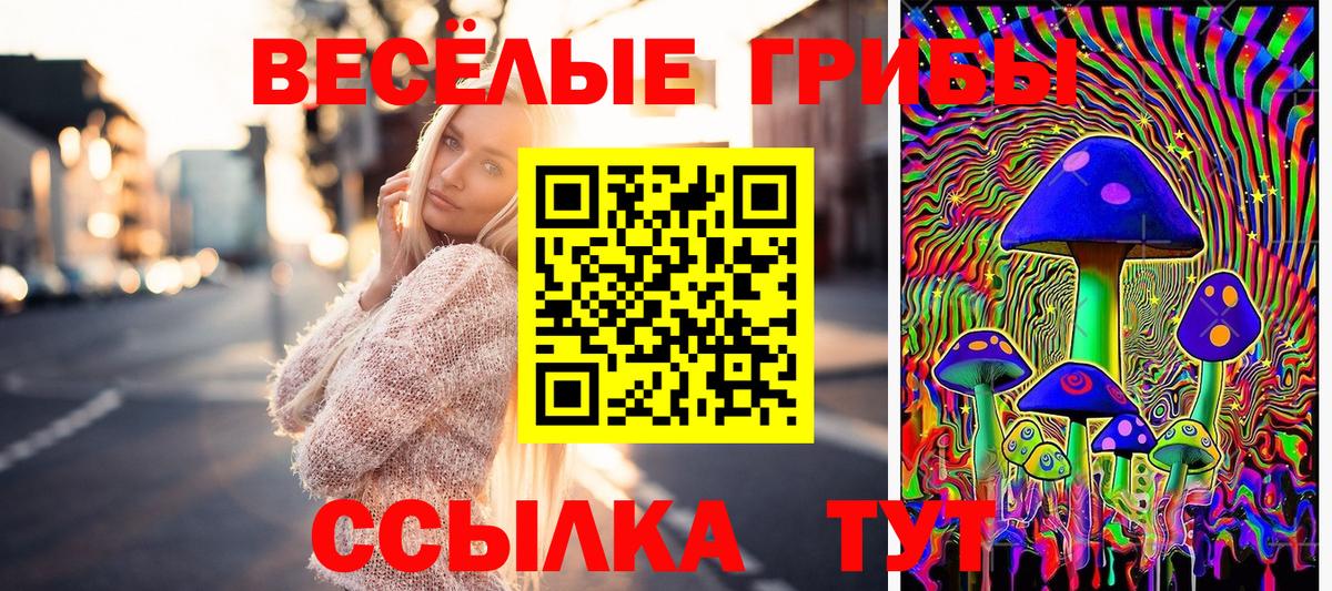 Псилоцибиновые грибы Magic Shrooms  Псилоцибиновые грибы Cubensis  Новочеркасск  Вход с VPN 