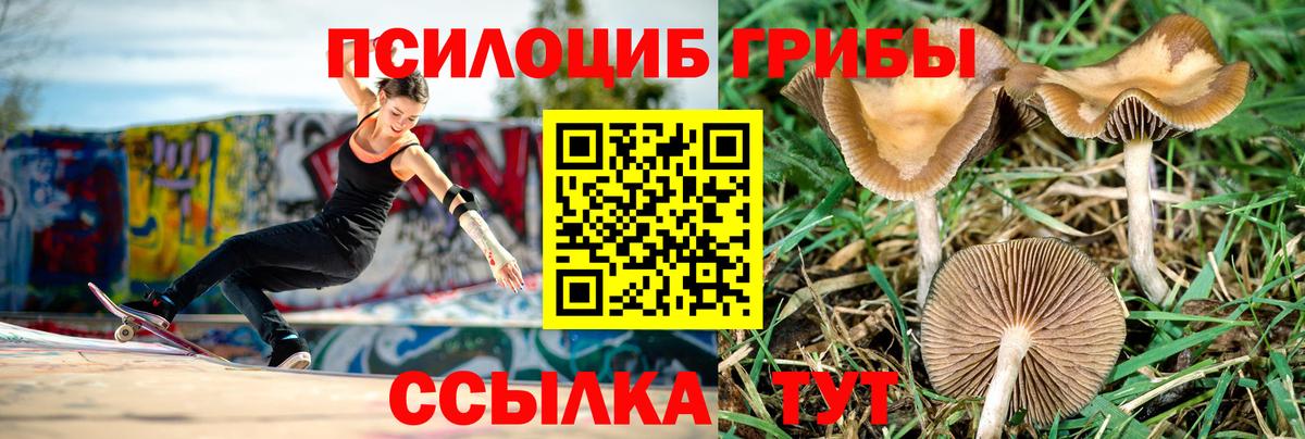 Псилоцибиновые грибы мухоморы Новочеркасск